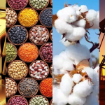 Commodities Aevergreen